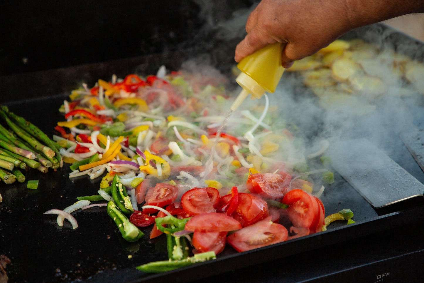 Pit Boss 5 Burner Ultimate Plancha Griddle PB5BGD2 with Cover